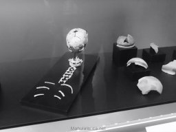 Ciudad de Elche 2022